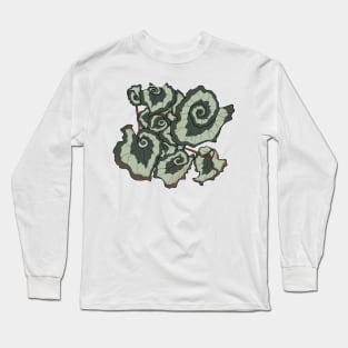 Escargot Begonia Long Sleeve T-Shirt